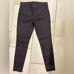 American Eagle Outfitters Plum Pants